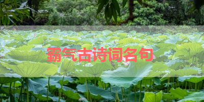 霸气古诗词名句 