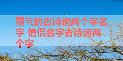 霸气的古诗词两个字名字 情侣名字古诗词两个字