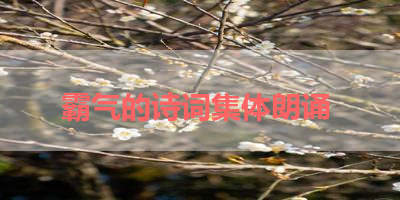 霸气的诗词集体朗诵 