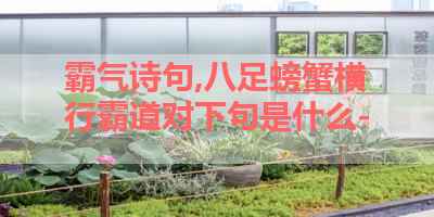 霸气诗句,八足螃蟹横行霸道对下句是什么- 