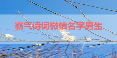 霸气诗词微信名字男生 