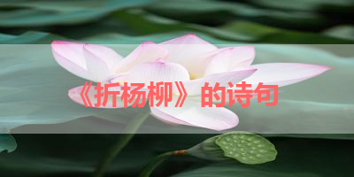 《折杨柳》的诗句 