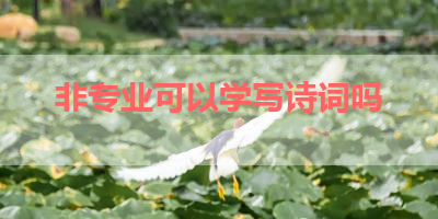 非专业可以学写诗词吗 