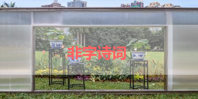 非字诗词 
