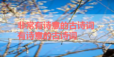 非常有诗意的古诗词 有诗意的古诗词