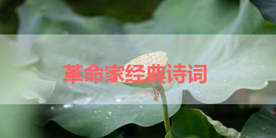 革命家经典诗词 