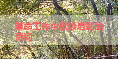 革命工作中歌颂后勤的诗词 