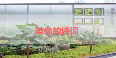 革命的诗词 