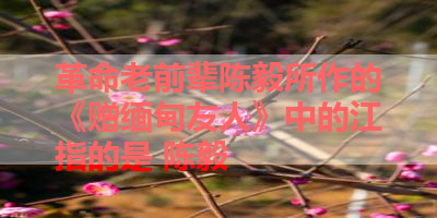 革命老前辈陈毅所作的《赠缅甸友人》中的江指的是 陈毅