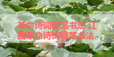 革命诗词硬笔书法 江西革命诗词硬笔书法