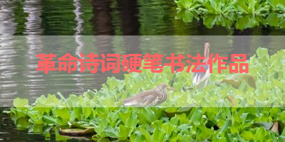 革命诗词硬笔书法作品 