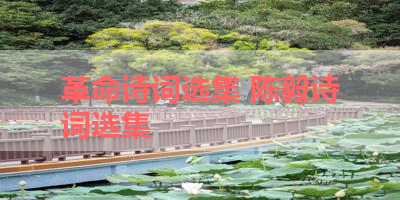 革命诗词选集 陈毅诗词选集