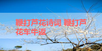 鞭打芦花诗词 鞭打芦花车牛返