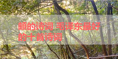 頔的诗词 毛译东最好的十首诗词
