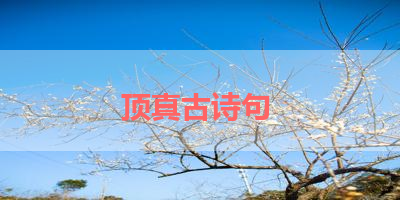 顶真古诗句 