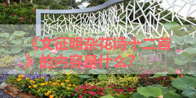 《文征明杂花诗十二首》的内容是什么？ 