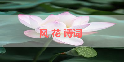 风 花 诗词 