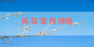 风 花 雪 月 诗词 