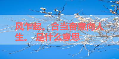 风乍起。合当奋意向人生。 是什么意思 