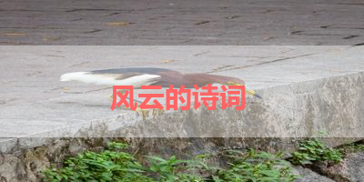 风云的诗词 