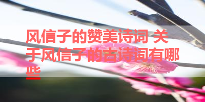 风信子的赞美诗词 关于风信子的古诗词有哪些 