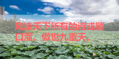 风凌天下所有的诗或顺口溜。傲世九重天。 