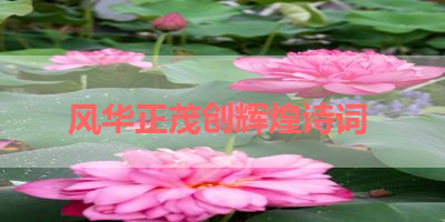风华正茂创辉煌诗词 