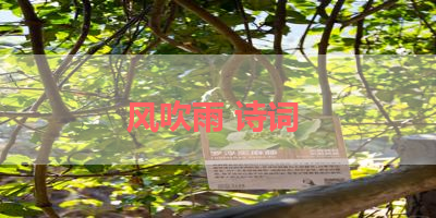 风吹雨 诗词 