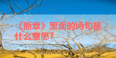 《断章》里面的诗句是什么意思？ 