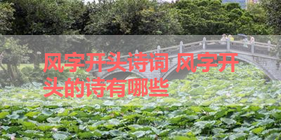 风字开头诗词 风字开头的诗有哪些 