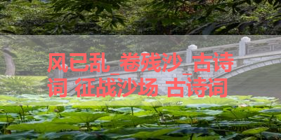 风已乱_卷残沙_古诗词 征战沙场 古诗词