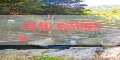 《新 柳》的诗句是什么- 