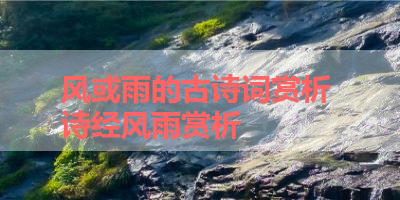 风或雨的古诗词赏析 诗经风雨赏析