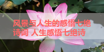 风景与人生的感悟七绝诗词 人生感悟七绝诗