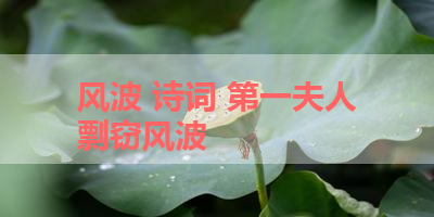 风波 诗词 第一夫人剽窃风波