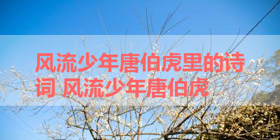 风流少年唐伯虎里的诗词 风流少年唐伯虎