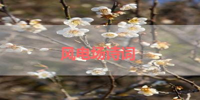 风电场诗词 
