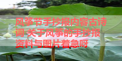 风筝节手抄报内容古诗词 关于风筝的手抄报资料与图片着急呀 