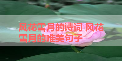 风花雪月的诗词 风花雪月的唯美句子