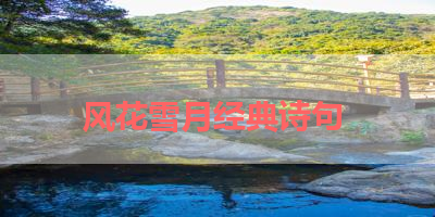 风花雪月经典诗句 