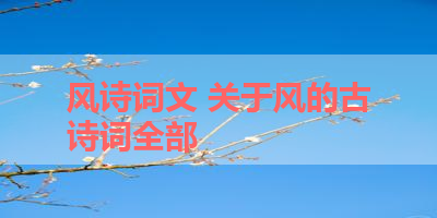 风诗词文 关于风的古诗词全部 