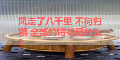风走了八千里 不问归期 全部的诗句是什么？ 