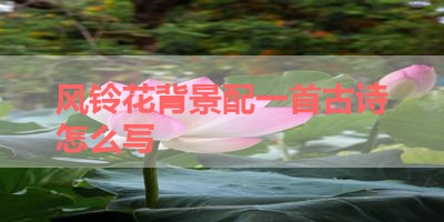 风铃花背景配一首古诗怎么写 