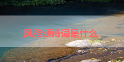 风雅颂诗词是什么 