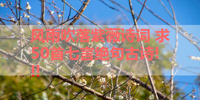风雨吹落紫薇诗词 求50首七言绝句古诗!!! 