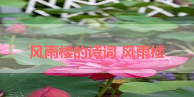 风雨楼的诗词 风雨楼