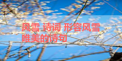 风雪 诗词 形容风雪唯美的诗句
