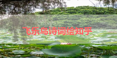 飞乐鸟诗词绘知乎 