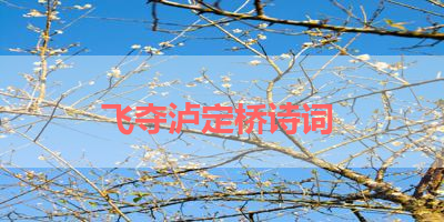 飞夺泸定桥诗词 