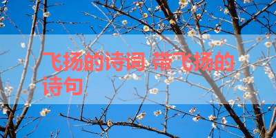 飞扬的诗词 带飞扬的诗句